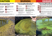 What to know about algae in Tahoe this summer
