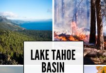 2025 Lake Tahoe Basin Community Wildfire Protection Plan finalized