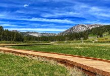 New Tahoe Meadows access ramp opens, expanding access for all